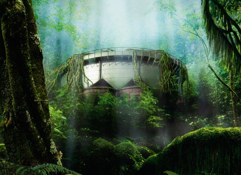 Travel fair – SNP&nbsp;Natuurreizen